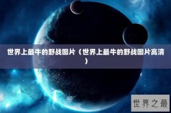 世界上最牛的野战图片（世界上最牛的野战图片高清）