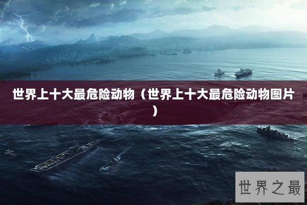 世界上十大最危险动物(世界上十大最危险动物图片) 世界上十大最危险动物(世界上十大最危险动物图片)