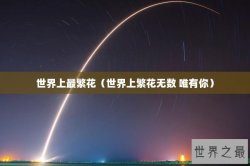 世界上最繁花（世界上繁花无数 唯有你）