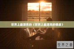 世界上最漂亮的（世界上最漂亮的橡皮）
