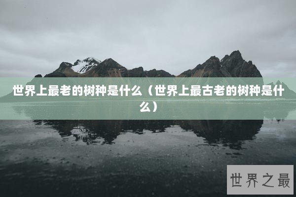 世界上最老的树种是什么（世界上最古老的树种是什么）