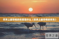 世界上最恐怖的东西是什么（世界上最恐怖的东东）