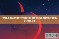 世界上最凶的狗十大排行榜（世界上最凶的狗十大排行榜图片）