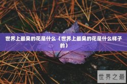 世界上最臭的花是什么（世界上最臭的花是什么样子的）