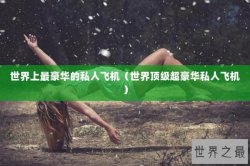 世界上最豪华的私人飞机（世界顶级超豪华私人飞机）