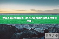 世界上最凶猛的鳄鱼（世界上最凶猛的鳄鱼小视频短视频）