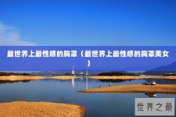 最世界上最性感的胸罩（最世界上最性感的胸罩美女）