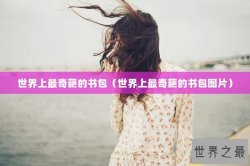 世界上最奇葩的书包（世界上最奇葩的书包图片）