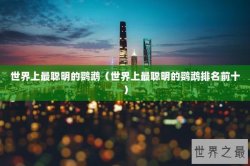 世界上最聪明的鹦鹉（世界上最聪明的鹦鹉排名前十）