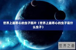 世界上最恶心的虫子图片（世界上最恶心的虫子是什么虫子）