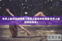 世界上最纯洁的海滩（世界上最纯净的海滩′世界上最纯净的海滩）