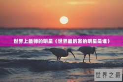 世界上最师的明星（世界最厉害的明星是谁）