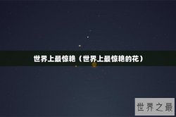 世界上最惊艳（世界上最惊艳的花）