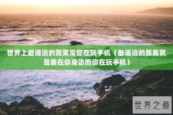 世界上最遥远的距离是你在玩手机（最遥远的距离就是我在你身边而你在玩手机）