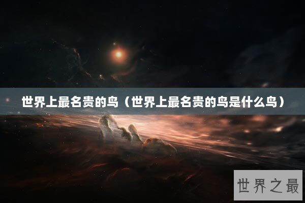 世界上最名贵的鸟（世界上最名贵的鸟是什么鸟）
