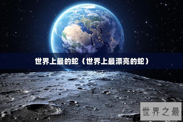 世界上最的蛇（世界上最漂亮的蛇）