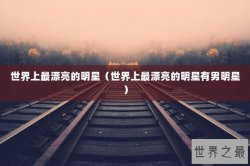 世界上最漂亮的明星（世界上最漂亮的明星有男明星）