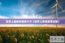 世界上最胖的猪多少斤（世界上体重最重的猪）