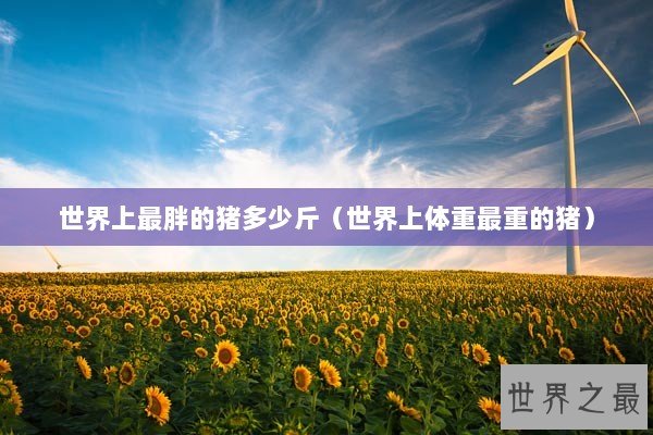 世界上最胖的猪多少斤（世界上体重最重的猪）