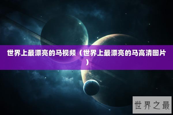 世界上最漂亮的马视频（世界上最漂亮的马高清图片）