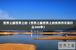 世界上最世界上的（世界上最世界上的优秀作文是什么300字）