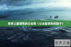 世界上最漂亮的公主鞋（公主最漂亮的鞋子）