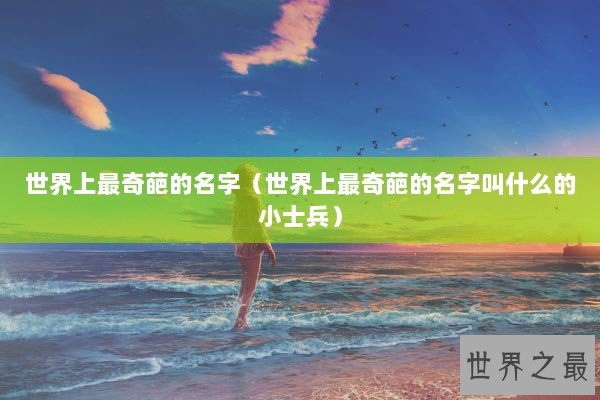 世界上最奇葩的名字（世界上最奇葩的名字叫什么的小士兵）