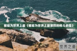 被称为世界上最（被称为世界上最激烈的格斗的是）