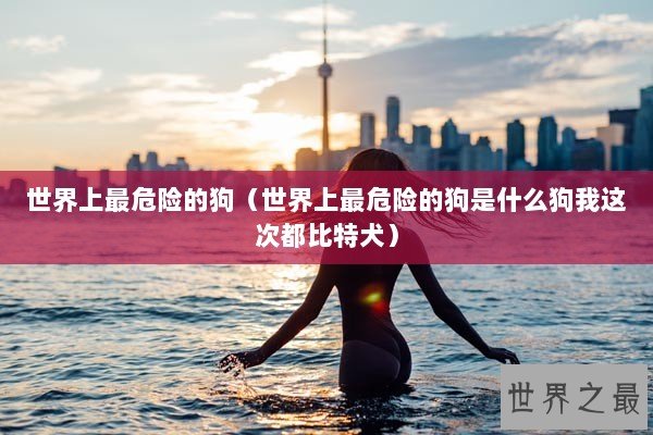 世界上最危险的狗（世界上最危险的狗是什么狗我这次都比特犬）