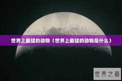 世界上最猛的动物（世界上最猛的动物是什么）