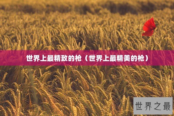 世界上最精致的枪（世界上最精美的枪）