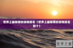 世界上最聪明的动物排名（世界上最聪明的动物排名前十）