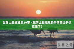 世界上最尴尬的20事（世界上最尴尬的事情莫过于你高估了）
