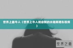 世界上最牛人（世界上牛人刚自制的水陆两栖车视频）