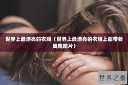 世界上最漂亮的衣服（世界上最漂亮的衣服上面带着凤凰图片）
