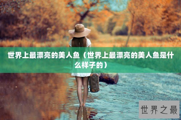 世界上最漂亮的美人鱼（世界上最漂亮的美人鱼是什么样子的）