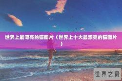 世界上最漂亮的猫图片（世界上十大最漂亮的猫图片）