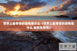 世界上最奇怪的动物是什么（世界上最奇怪的动物是什么 脑筋急转弯）