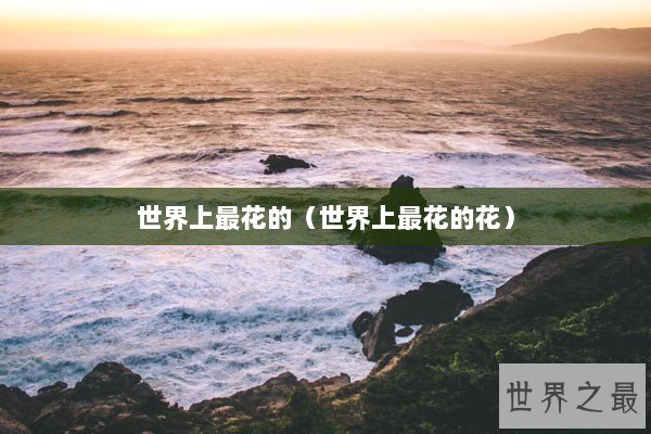 世界上最花的（世界上最花的花）