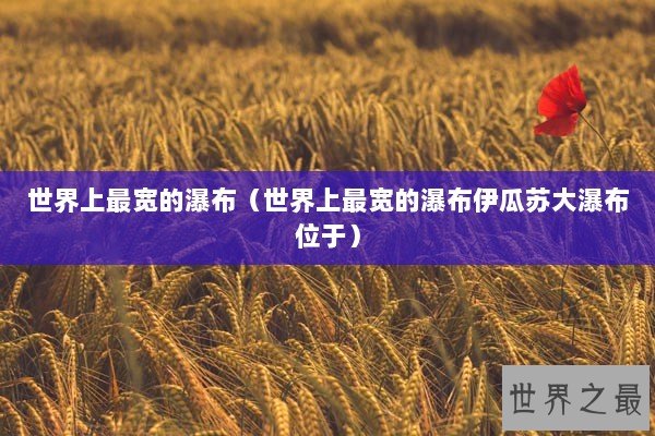 世界上最宽的瀑布（世界上最宽的瀑布伊瓜苏大瀑布位于）