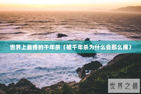 世界上最疼的千年杀（被千年杀为什么会那么痛）