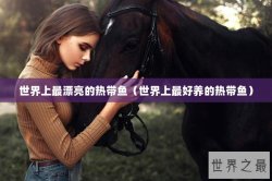 世界上最漂亮的热带鱼（世界上最好养的热带鱼）