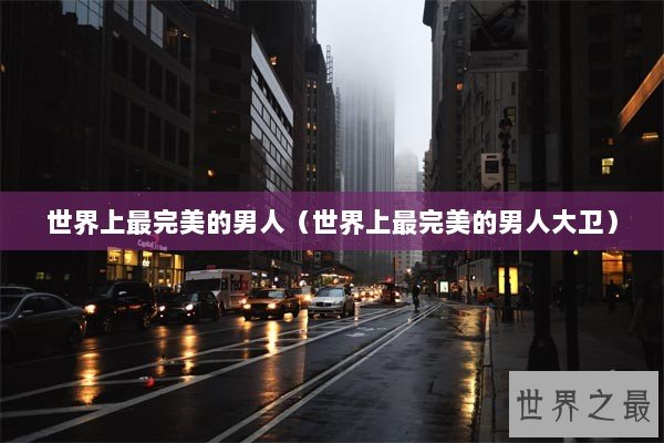 世界上最完美的男人（世界上最完美的男人大卫）