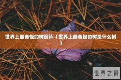 世界上最奇怪的树图片（世界上最奇怪的树是什么树）