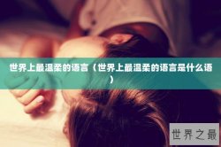 世界上最温柔的语言（世界上最温柔的语言是什么语）