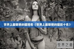 世界上最聪明的猫排名（世界上最聪明的猫前十名）