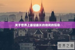 关于世界上最猛最长的吻戏的信息