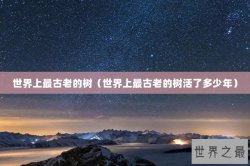 世界上最古老的树（世界上最古老的树活了多少年）