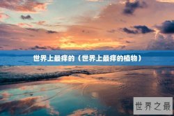 世界上最痒的（世界上最痒的植物）