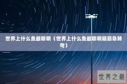 世界上什么鱼最聪明（世界上什么鱼最聪明脑筋急转弯）